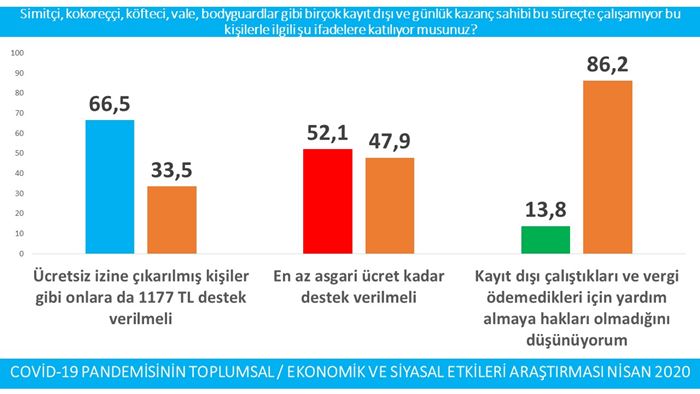 Pandeminin Toplumsal/Ekonomik ve Siyasal Etkileri 11