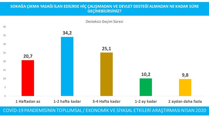 Pandeminin Toplumsal/Ekonomik ve Siyasal Etkileri 14