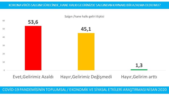 Pandeminin Toplumsal/Ekonomik ve Siyasal Etkileri 15