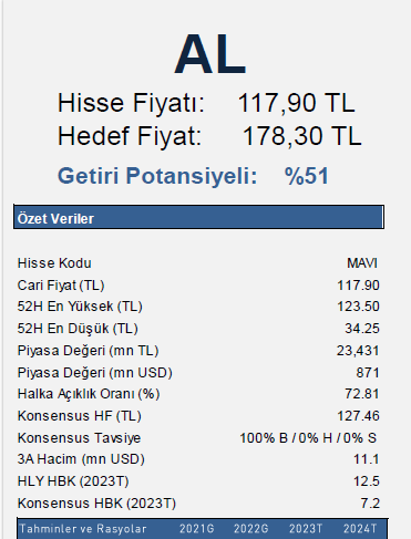 Mavi hisseleri için hedef fiyat iki katına yükseldi 3