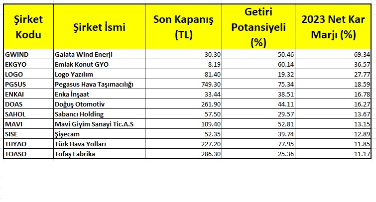 Getiri potansiyeli ve kar marjı en yüksek 11 hisse 2