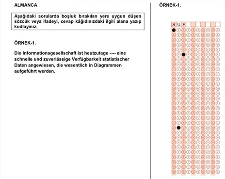 LYS kısa cevaplı soru örnekleri 19