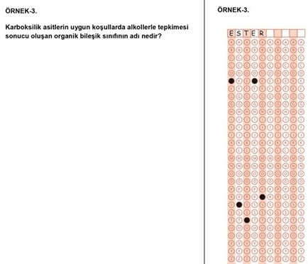 LYS kısa cevaplı soru örnekleri 23