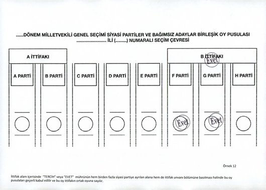 Hangi oylar geçerli hangi oylar geçersiz sayılacak 14