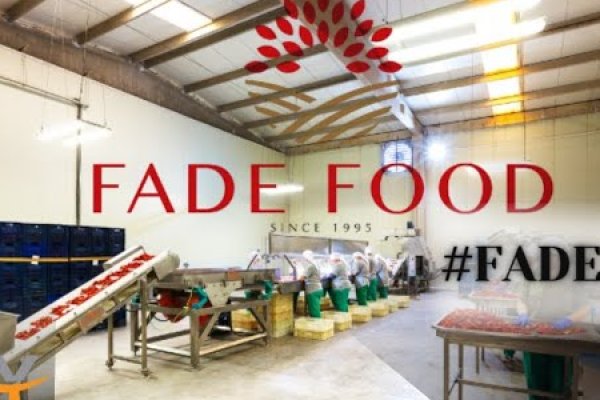 Fade Gıda (FADE) 6 aylık bilançosunu açıkladı