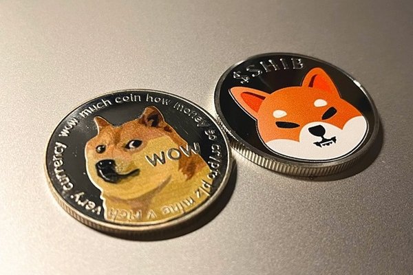 Köpek Coin Rallisi Yeniden Mi Başlıyor? 100x Yapacak Köpek Coinler Hangileri?