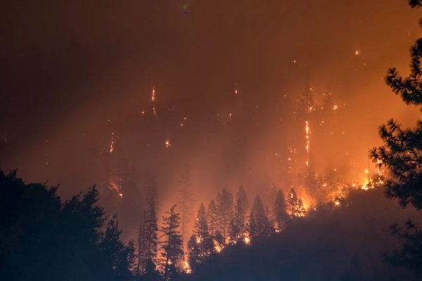 Los Angeles yangınlarının sigorta şirketlerine maliyeti 20 milyar doları aştı