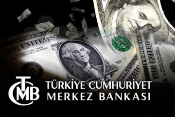 Merkez Bankası'nın döviz rezervi eridi