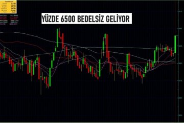 BİST'te bir şirket %6500 bedelsize hazırlanıyor, bir hisse 66 hisse olacak!