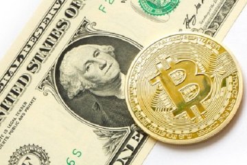 Bitcoin’in Yükselişi Trump’la Mı Bağlantılı? Hangi Coinler 100x İçin Seçimi Bekliyor?