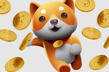 BabyDoge geldi, 15 kata kadar kaldıraçla işlemi mümkün kıldı