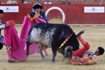 Ünlü matador canlı yayında hayatını kaybetti