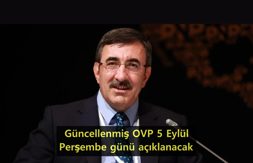 01-cumhurbaskani-yardimcisi-yilmaz.png