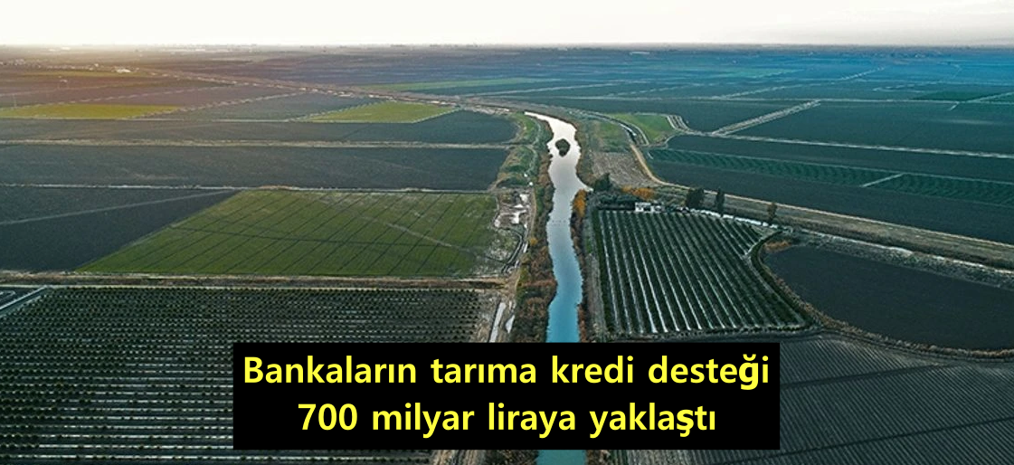 011-bankalarin-tarima-kredi-destegi.png