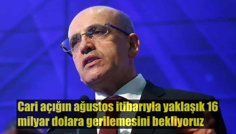 04-simsek-yine-yeniden.png