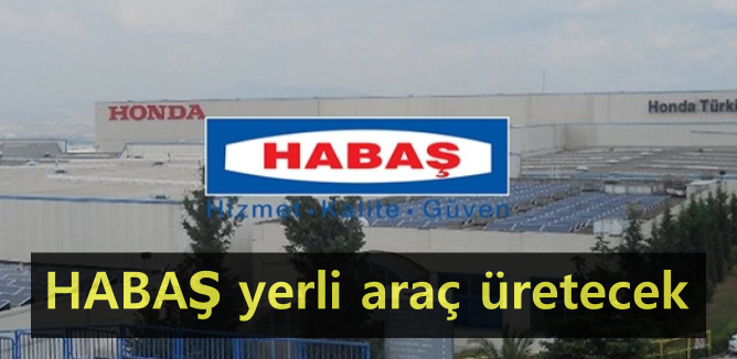 07-habas.png