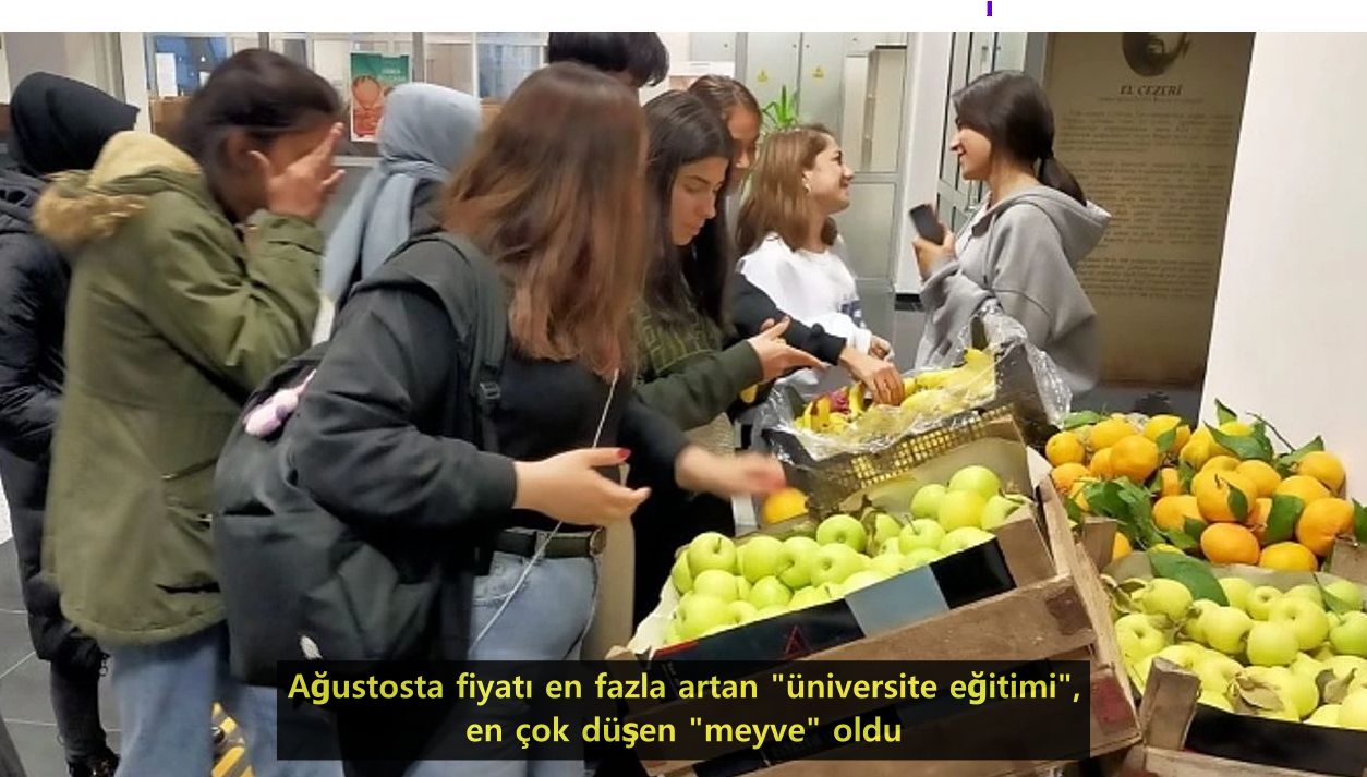 07-universite-+-meyve.png