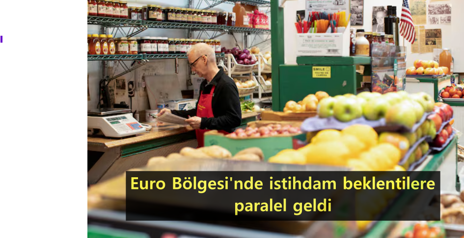 12-euro-bolgesi-istihdam-001.png