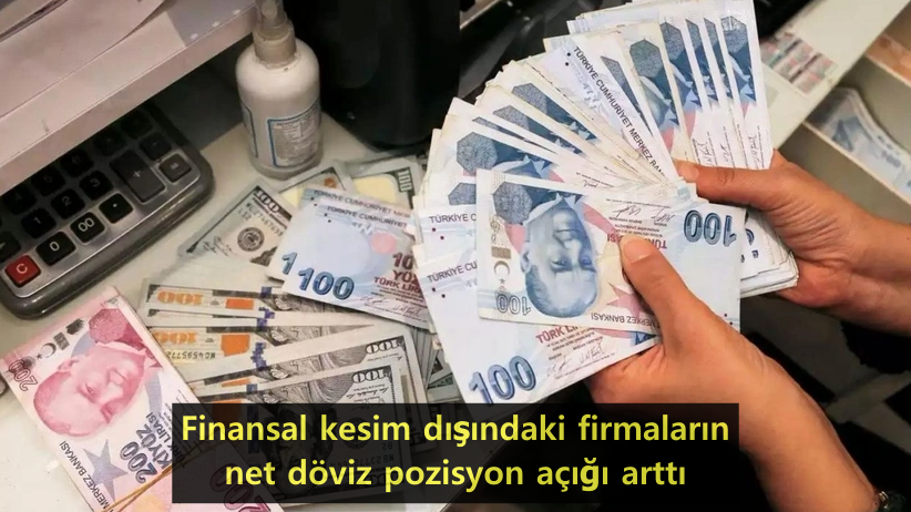 12-finans-disi-doviz-acigi.png