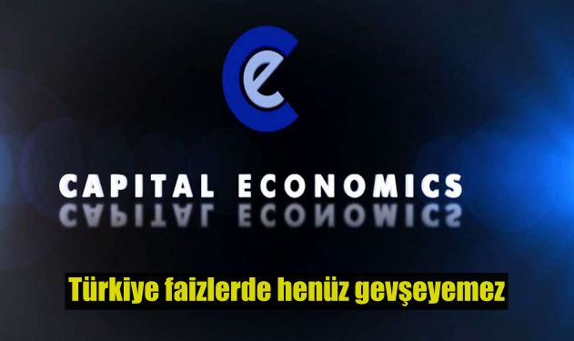 14-capital-economics.png