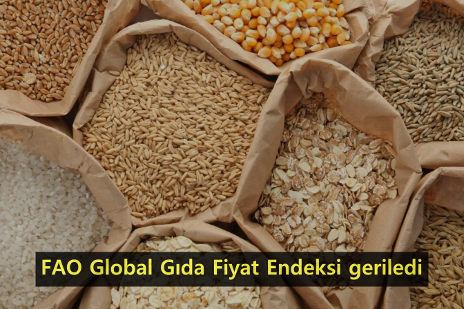 15-fao-gida-fiyat-endeksi.png