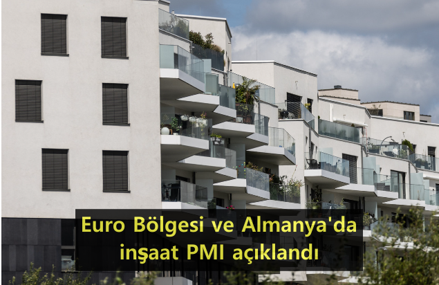 20-euro-bolgesi-pmi.png