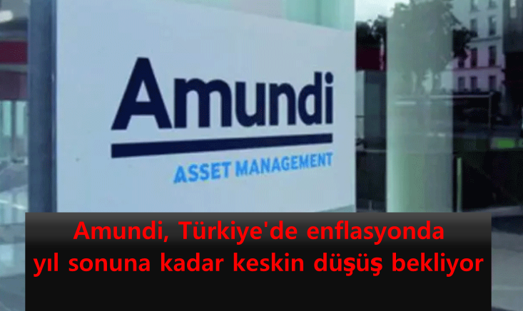 amundi,-turkiyede-enflasyonda-yil-sonuna-kadar-keskin-dusus-bekliyor.png