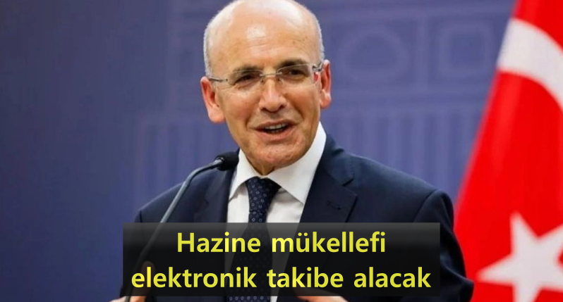 hazine-mukellef.png