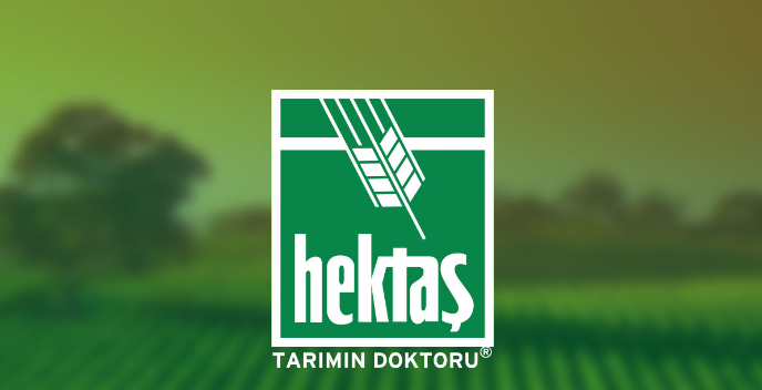 hektas.png