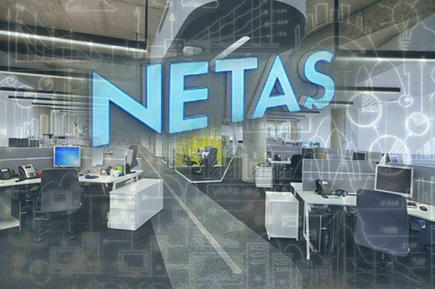 netas.png