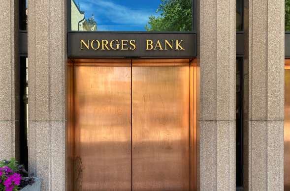 norvec-merkez-bankasi.png