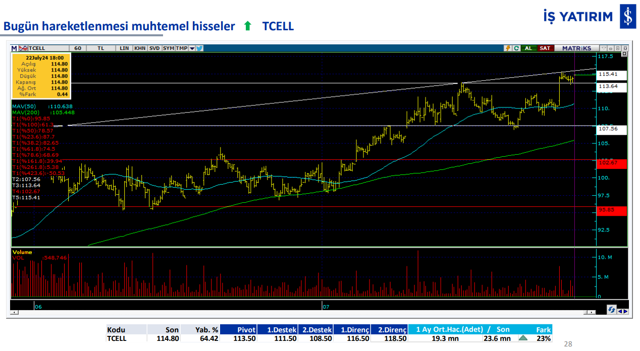 tcell-001.png