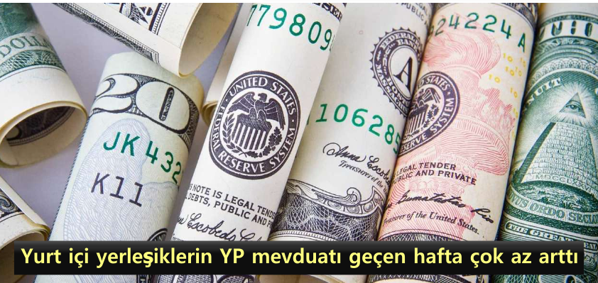 yurt-ici-yerlesiklerin-yp-mevduati-gecen-hafta-cok-az-artti.png